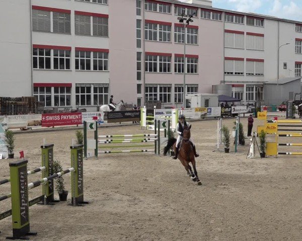 Reitturnier Sulgen 2025