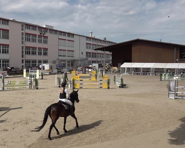 Reitturnier Sulgen 2025