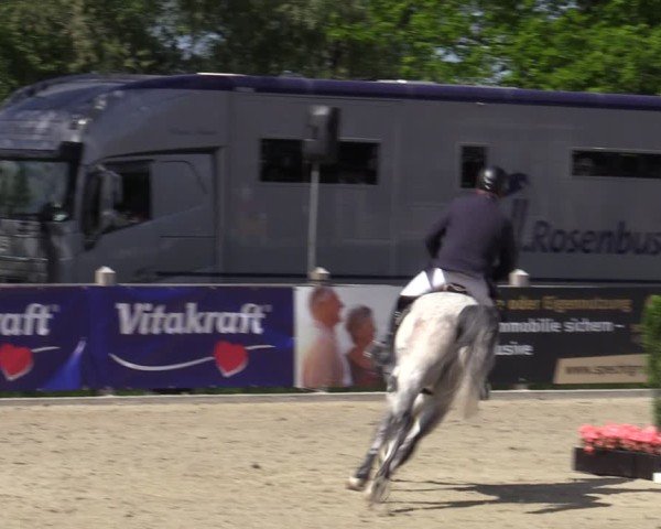 Reitturnier Bremen - Reitanlage Forkert 2025