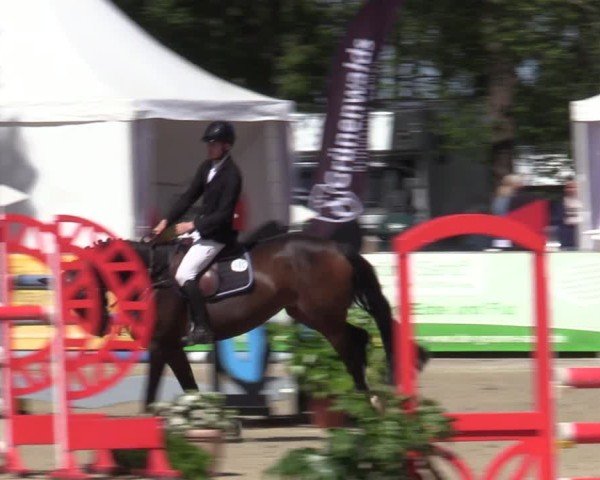 Reitturnier Bremen - Reitanlage Forkert 2025