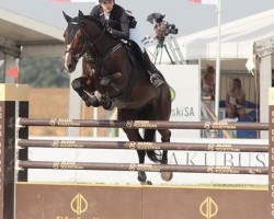 Springpferd Costello (KWPN (Niederländisches Warmblut), 2007, von Luidam)