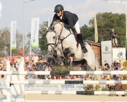 Springpferd Que Pasa 5 (KWPN (Niederländisches Warmblut), 2006, von Quite Easy I)