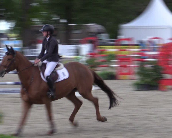 Reitturnier Bremen - Reitanlage Forkert 2025