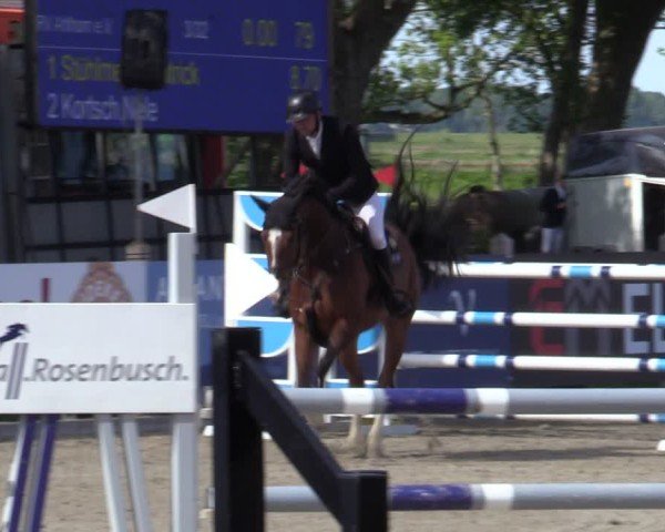 Reitturnier Bremen - Reitanlage Forkert 2025