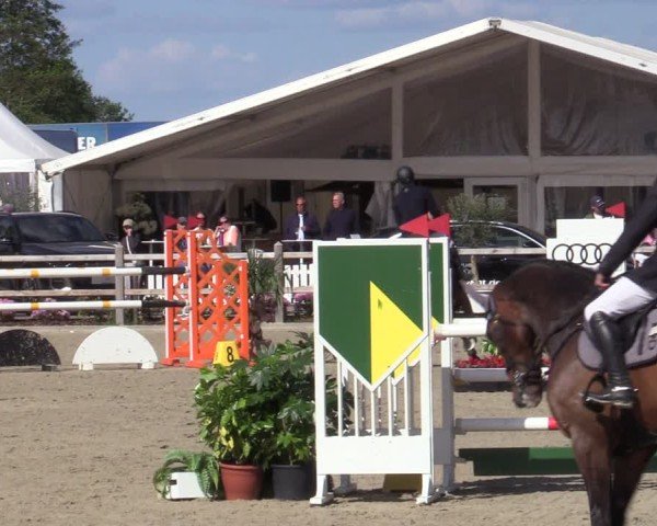 Reitturnier Bremen - Reitanlage Forkert 2025