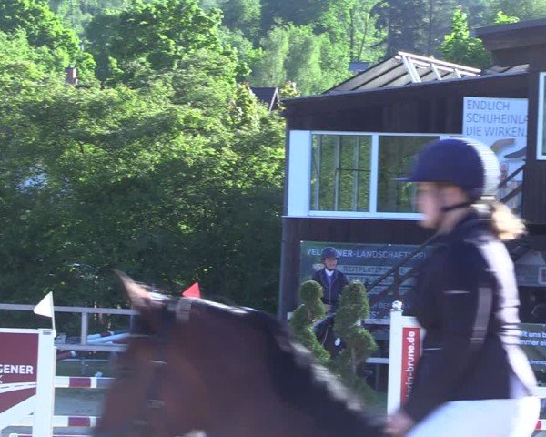 Reitturnier Niederbergheim 2025