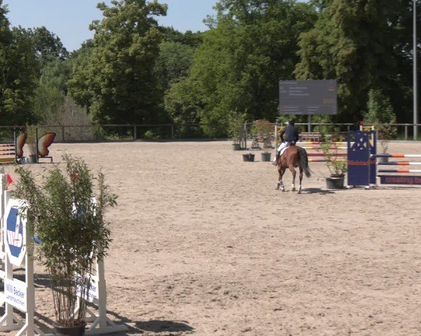 Reitturnier Erkrath - Uhlenhof 2025