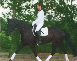 Zuchtstute His Lady (Hannoveraner, 2004, von His Highness)