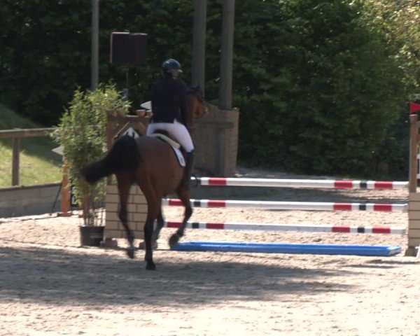 Reitturnier Erkrath - Uhlenhof 2025