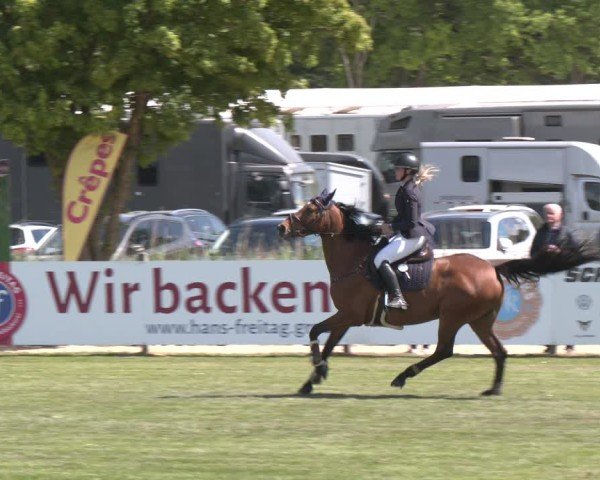 Reitturnier Bremen - Reitanlage Forkert 2025