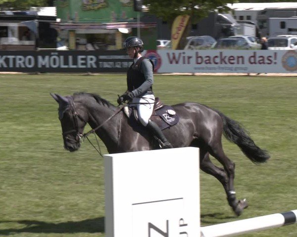 Reitturnier Bremen - Reitanlage Forkert 2025