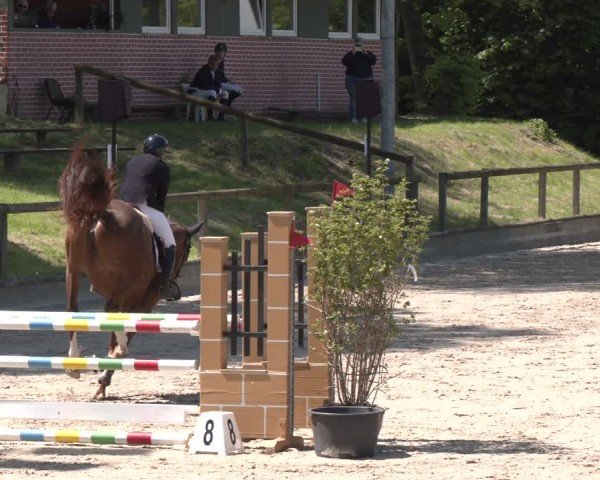 Reitturnier Erkrath - Uhlenhof 2025