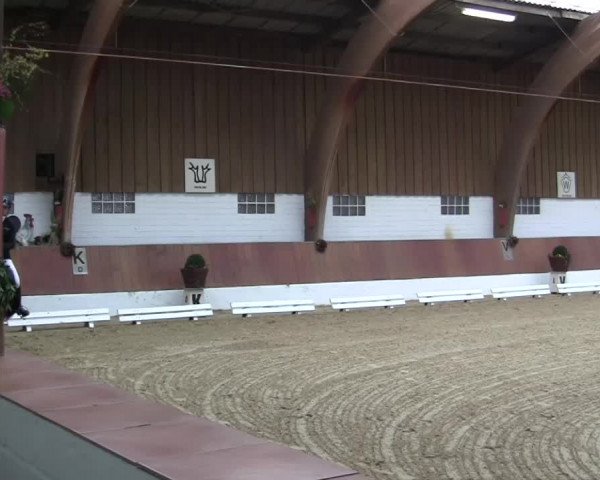 Krefeld - Reitanlage Kühnen, Junge-Pferde-Turnier 2014