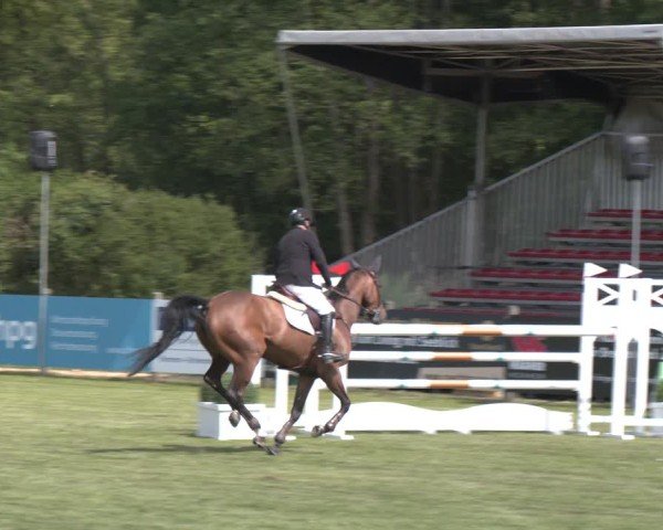 Reitturnier Bremen - Reitanlage Forkert 2025