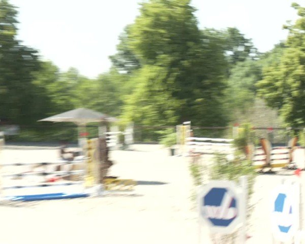 Reitturnier Erkrath - Uhlenhof 2025