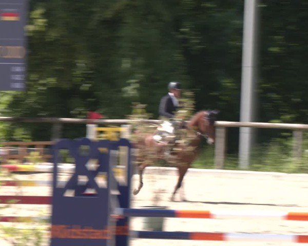 Reitturnier Erkrath - Uhlenhof 2025