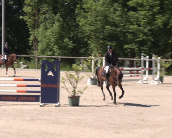 Reitturnier Erkrath - Uhlenhof 2025