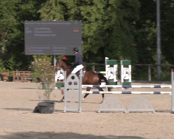 Reitturnier Erkrath - Uhlenhof 2025