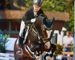 stallion Next Level (German Riding Pony, 2005, from No Mercy 10)