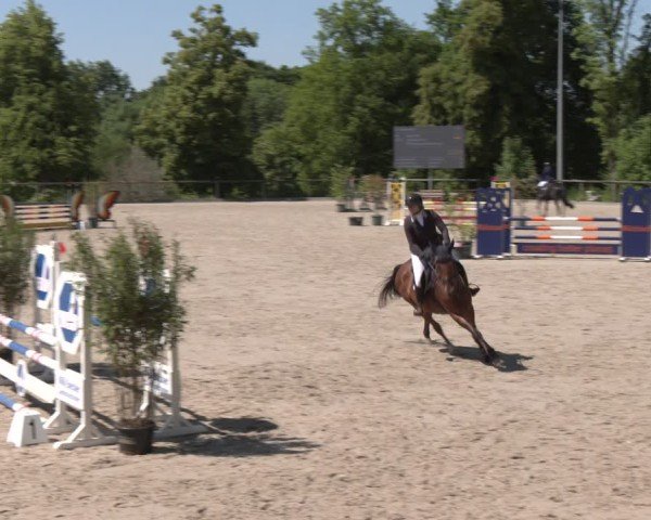 Reitturnier Erkrath - Uhlenhof 2025