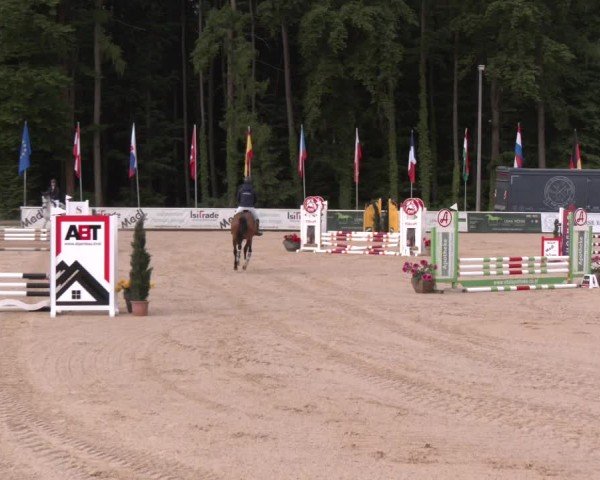 Reitturnier Ranshofen - Braunau am Inn 2025