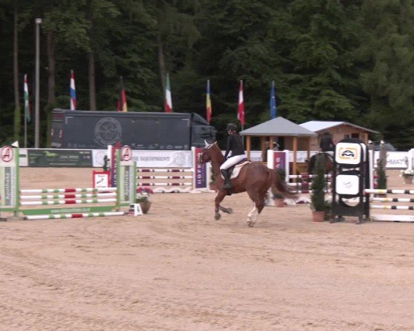 Reitturnier Ranshofen - Braunau am Inn 2025