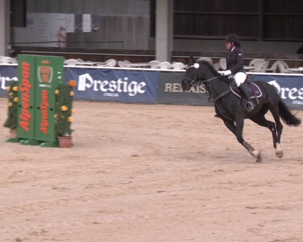 Reitturnier Ranshofen - Braunau am Inn 2025