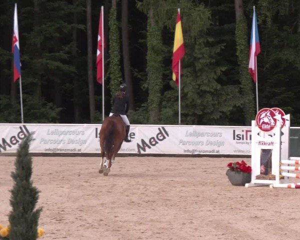 Reitturnier Ranshofen - Braunau am Inn 2025