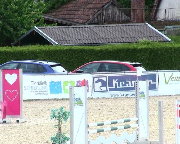 Reitturnier Mallersdorf-Pfaffenberg/Ndb. 2025
