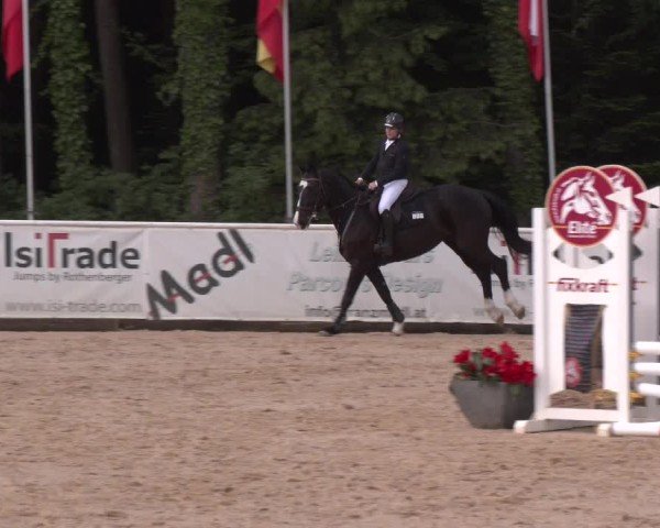 Reitturnier Ranshofen - Braunau am Inn 2025