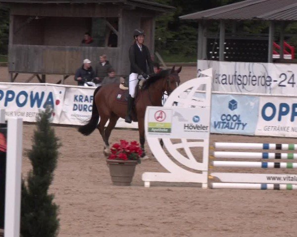 Reitturnier Ranshofen - Braunau am Inn 2025