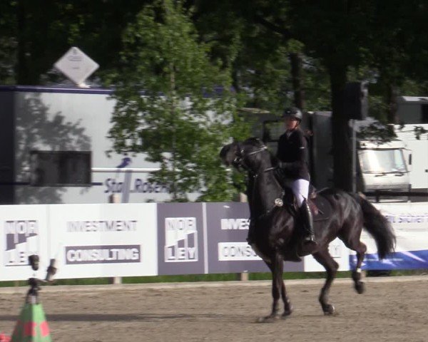 Reitturnier Bremen - Reitanlage Forkert 2025