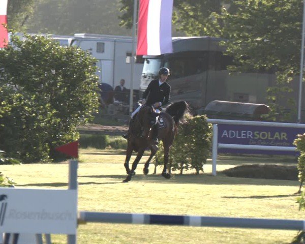 Reitturnier Bremen - Reitanlage Forkert 2025