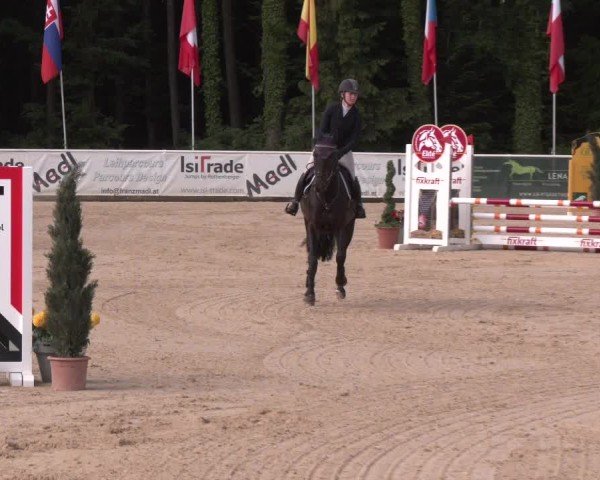 Reitturnier Ranshofen - Braunau am Inn 2025