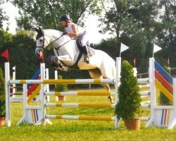 broodmare Apfilithya (KWPN (Royal Dutch Sporthorse), 2005, from Heartbreaker)