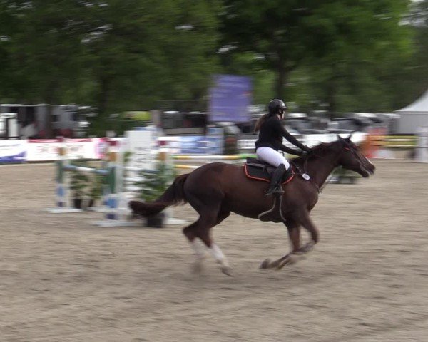 Reitturnier Bremen - Reitanlage Forkert 2025