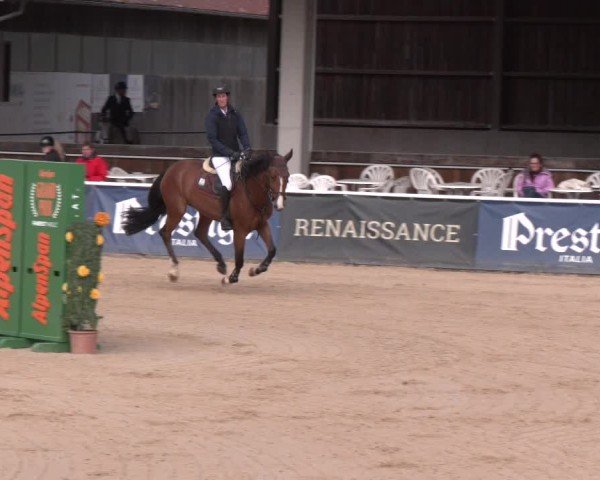 Reitturnier Ranshofen - Braunau am Inn 2025
