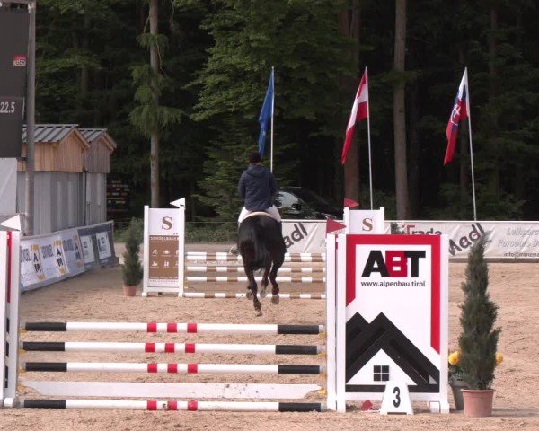 Reitturnier Ranshofen - Braunau am Inn 2025