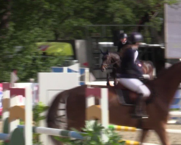 Reitturnier Bremen - Reitanlage Forkert 2025