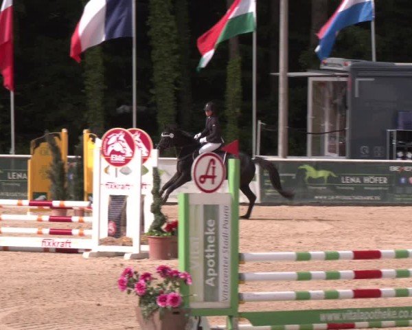 Reitturnier Ranshofen - Braunau am Inn 2025