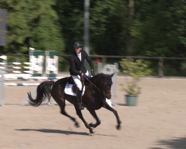 Reitturnier Erkrath - Uhlenhof 2025