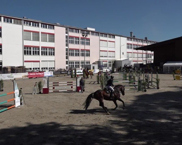 Reitturnier Sulgen 2025