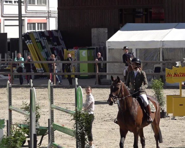 Reitturnier Sulgen 2025