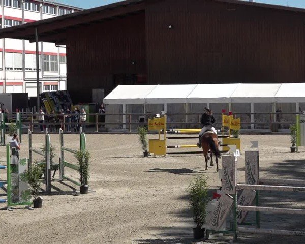 Reitturnier Sulgen 2025