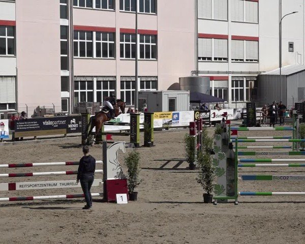 Reitturnier Sulgen 2025