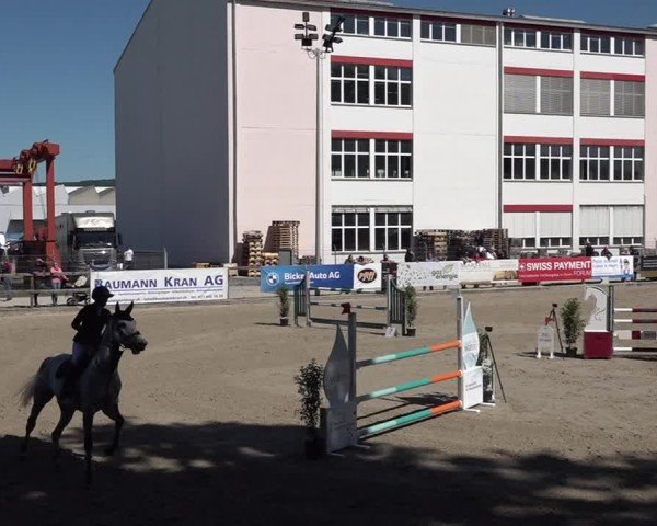 Reitturnier Sulgen 2025
