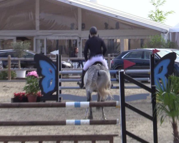 Reitturnier Bremen - Reitanlage Forkert 2025