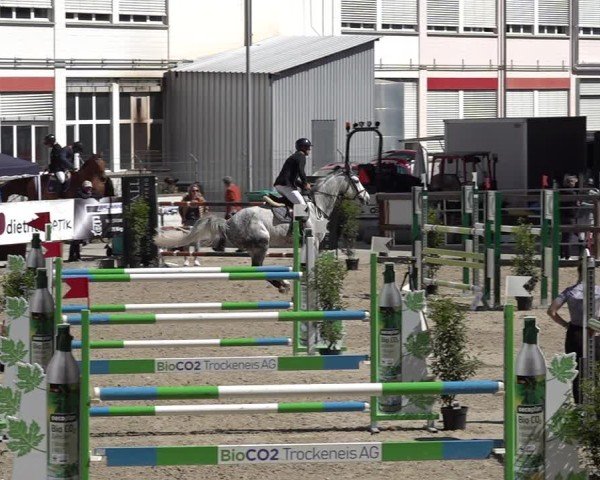 Reitturnier Sulgen 2025
