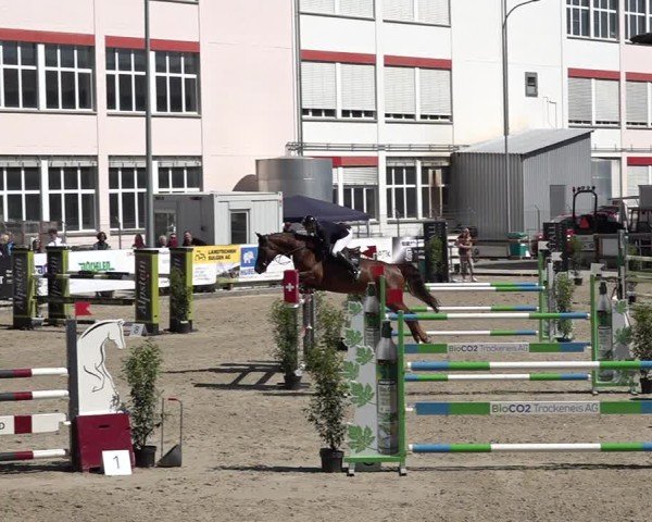 Reitturnier Sulgen 2025