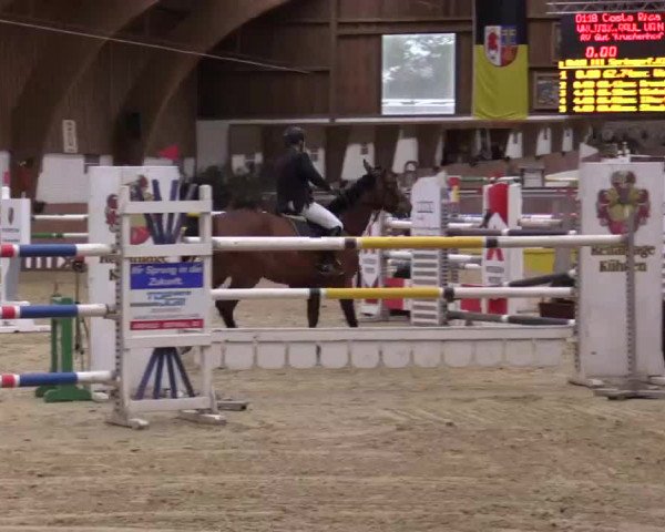 Krefeld - Reitanlage Kühnen, Junge-Pferde-Turnier 2014